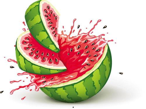 吃瓜宝宝娱乐,揭秘娱乐圈幕后故事,带你领略明星真实生活