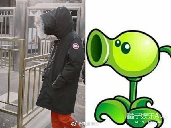 喜喜吃瓜娱乐,揭秘娱乐圈幕后故事,带你领略明星真实生活